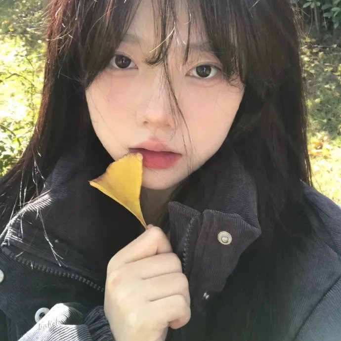 县长当村官 封面