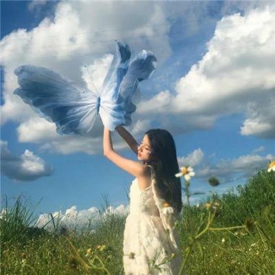 候鸟之爱 封面
